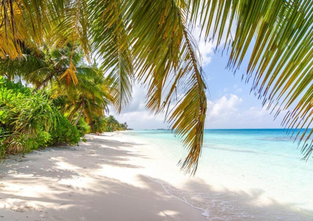 Unwind Dhigurah 호텔 디구라 외부 사진