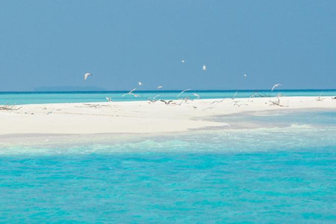 Unwind Dhigurah 호텔 디구라 외부 사진