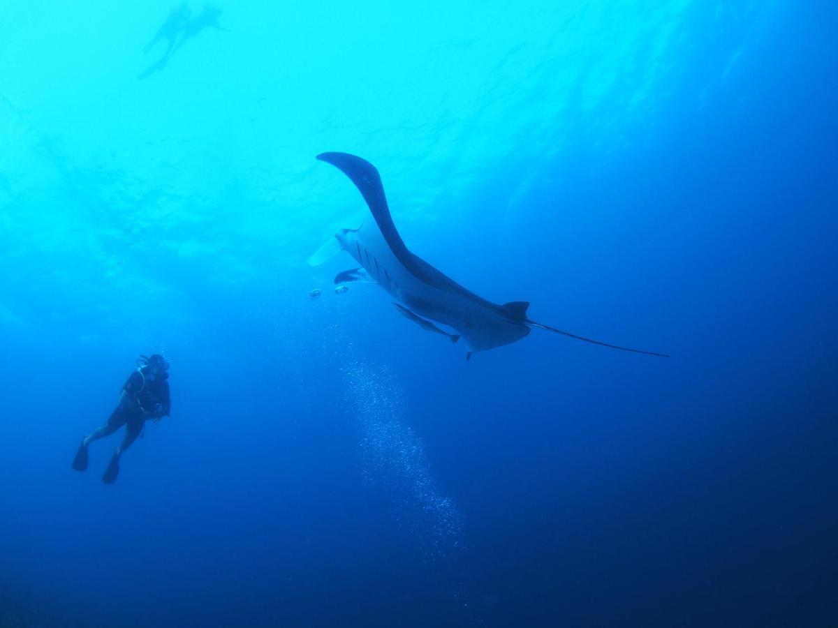 Unwind Dhigurah 호텔 디구라 외부 사진